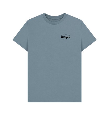 Stone Blue Printed T-shirt Front