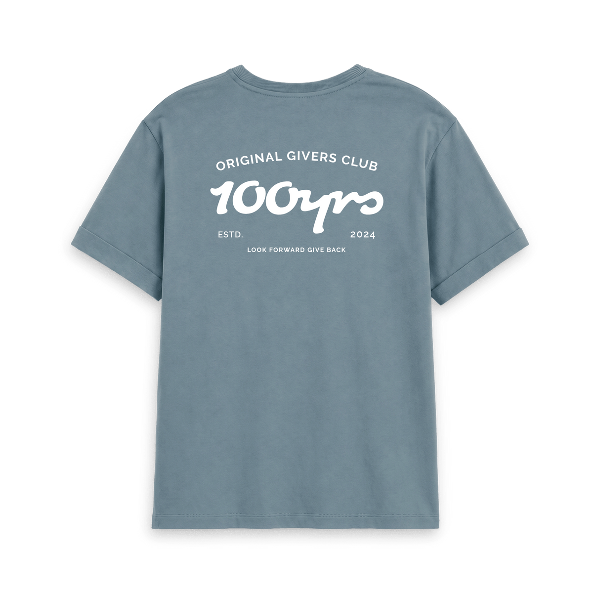 Stone Blue Printed T-shirt Back