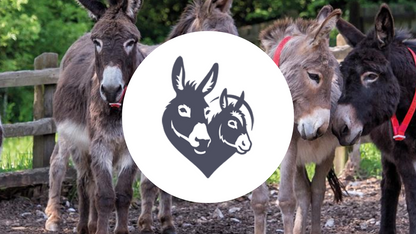 Neglected, badly treated donkeys across the UK, Europe and across the world need your help