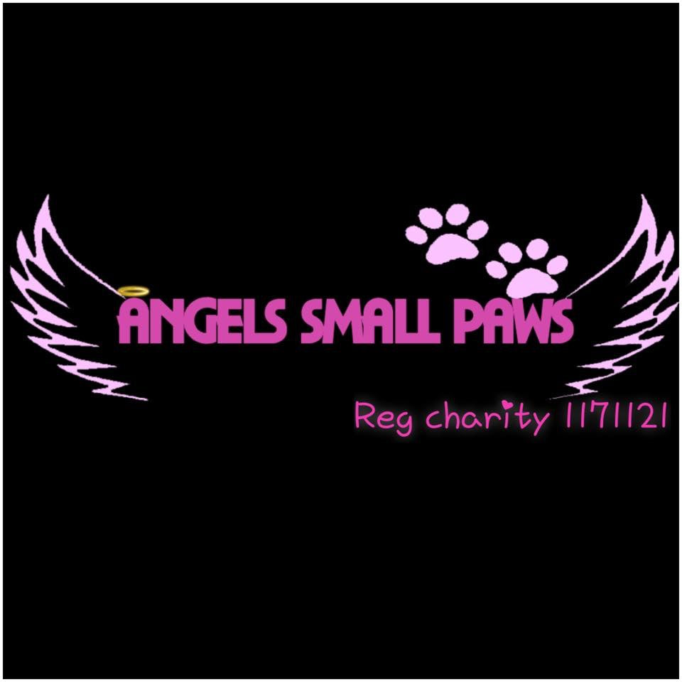 We desperatly need help with vet bills so we can help more dogs in need 